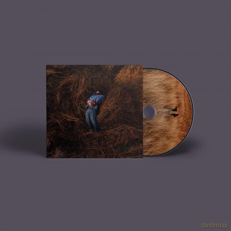 Jack Garratt: Pillars (Digisleeve Cd) [CD]