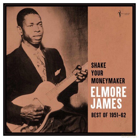 Elmore James: Shake Your Moneymaker: Best Of 1951-62 [Winyl]