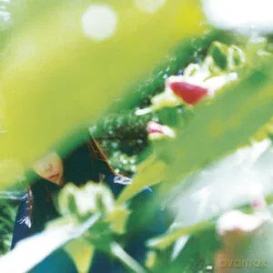 Minuano: Spring Lovers [Winyl]