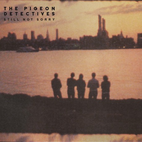 Pigeon Detectives: Still Not Sorry [CD]