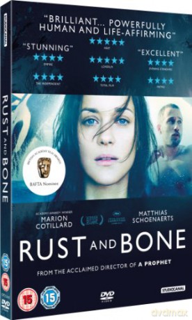 Rust and Bone [DVD]