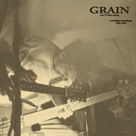 Grain: Well Hide Away: Complete Recordings 1993-1995 (Cloudy Clear) [Winyl]