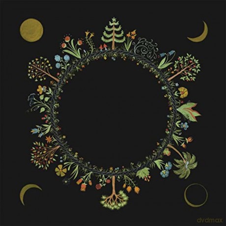 Laura Stevenson: Wheel [Winyl]
