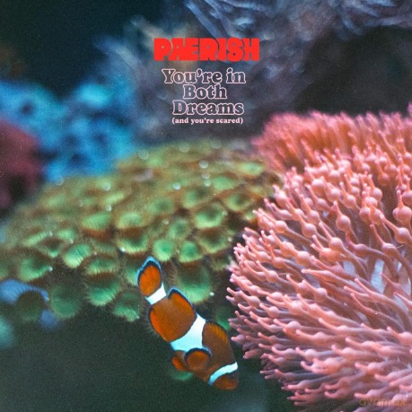 Paerish: Youre In Both Dreams (And Youre Scared) [CD]