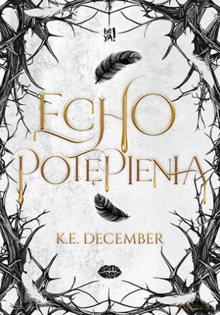 Echo potępienia - K.E. December [KSIĄŻKA]