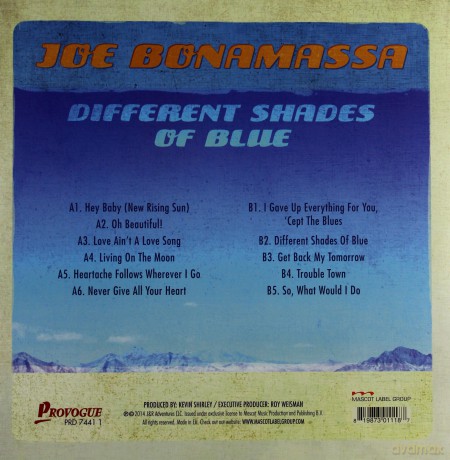 Joe Bonamassa: Different Shades Of Blue [Winyl]