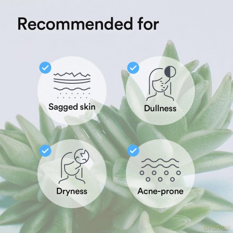 Abib Firming sheet mask Sedum Jelly (Collagen Gel Mask) 4 pcs