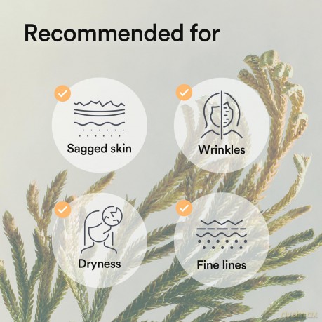 Abib Firming sheet mask with collagen and ceramides Jericho Rose Jelly (Collagen Gel Mask) 4 pcs