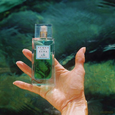 Acqua dell' Elba Arcipelago Donna - woda perfumowana - Volume: 100 ml
