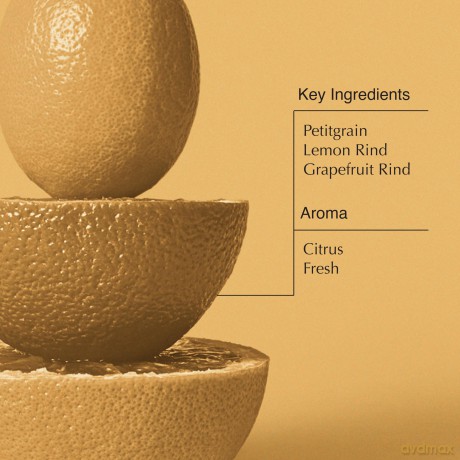 Aesop Gentle cleansing body gel with citrus scent (Citrus Melange Body Cleanser) - Volume: 500 ml - with pump