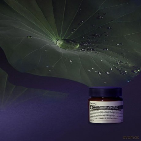 Aesop Night moisturizing mask for dry and dehydrated skin (Sublime Replenishing Night Masque) 60 ml
