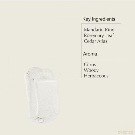 Aesop No-rinse hand sanitizer spray (Resurrection Rinse) - Volume: 500 ml
