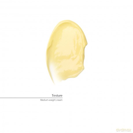 Aesop Nourishing cream with nut and plant extracts (Camellia Nut Facial Hydrating Cream) 60 ml