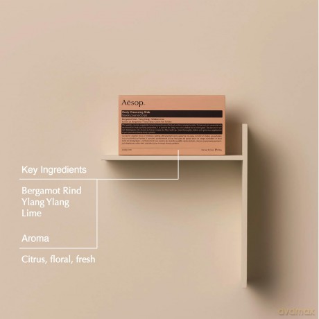 Aesop Refresh Body Cleansing Slap 310 g