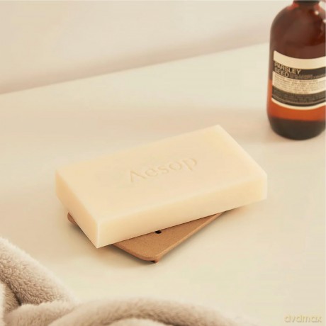 Aesop Refresh Body Cleansing Slap 310 g