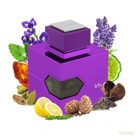 Al Haramain L`Aventure Iris - parfémovaný extrakt - Volume: 100 ml