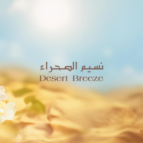 Armaf Éter Desert Breeze - woda perfumowana - Volume: 100 ml