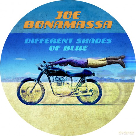 Joe Bonamassa: Different Shades Of Blue (picture disc) [Winyl]