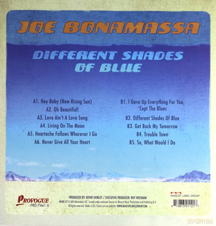Joe Bonamassa: Different Shades Of Blue (picture disc) [Winyl]