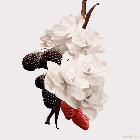 Burberry Her Elixir De Parfum - woda perfumowana - Volume: 30 ml