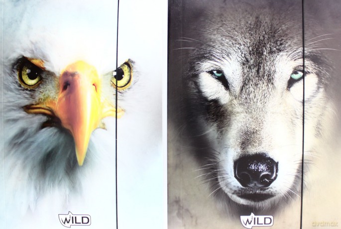 Teczka Z Gumką A4 (Wild) [SZKOŁA]