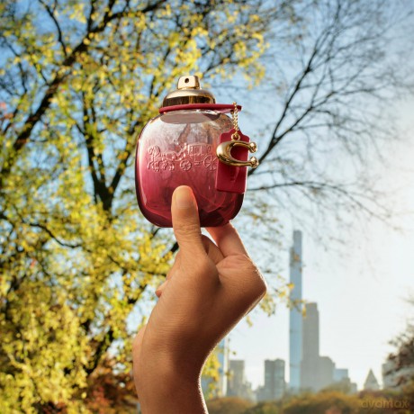 Coach Wild Rose - woda perfumowana 50 ml + woda perfumowana 7,5 ml