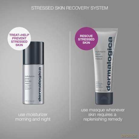 Dermalogica Stressed Skin Recovery System Skincare Gift Set