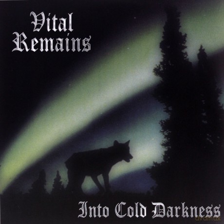 Vital Remains: Into Cold Darkness [WINYL]