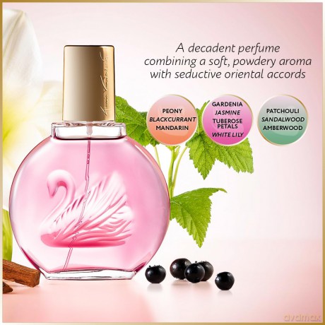 Gloria Vanderbilt Minuit a New York - woda perfumowana - Volume: 100 ml