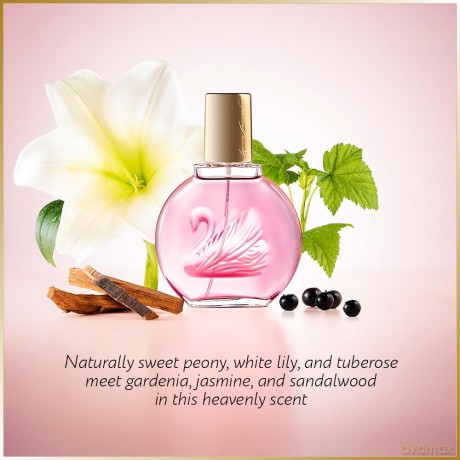 Gloria Vanderbilt Minuit a New York - woda perfumowana - Volume: 100 ml