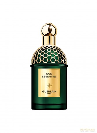 Guerlain Absolus Allegoria Oud Essentiel - woda perfumowana - Volume: 125 ml