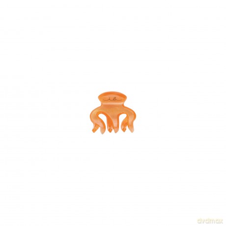 Invisibobble Hair clip Clipstar XS Oasis Petit Citrus 4 pcs