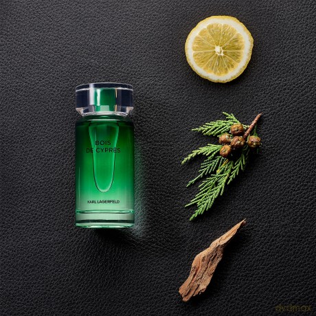 Karl Lagerfeld Bois De Cypres - woda toaletowa - Volume: 100 ml