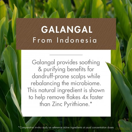 Klorane Galanga Anti-Dandruff Rebalancing Shampoo - Volume: 400 ml