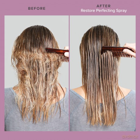 Living Proof Restore Perfecting Spray - Volume: 236 ml