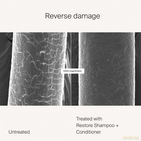 Living Proof Restore Shampoo for Damaged Hair (Shampoo) - Volume: 236 ml