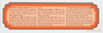 Marvis Ginger Mint Toothpaste 25 ml