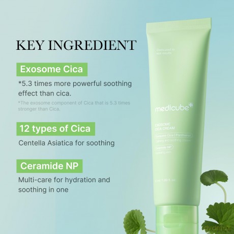 Medicube Exosome Soothing Face Cream (Cica Cream) 50 ml