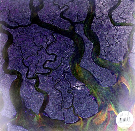 Alt-J: An Awesome Wave [WINYL]