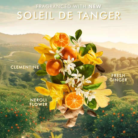 Moroccanoil Soleil De Tanger Kit Gift Set