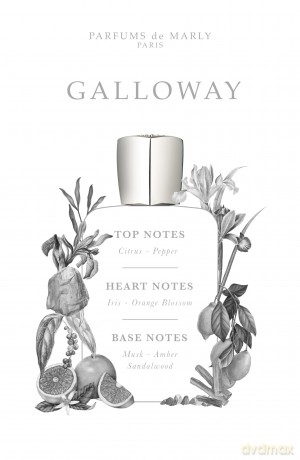 Parfums De Marly Galloway - woda perfumowana - Volume: 75 ml