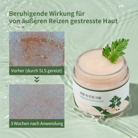 ROUND LAB Soothing Face Cream with Mugwort (Cream) 80 ml