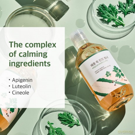 ROUND LAB Soothing facial toner with Mugwort extract (Toner) 300 ml