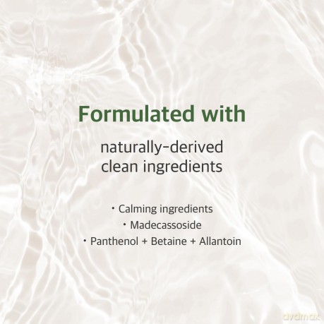 ROUND LAB Soothing facial toner with Mugwort extract (Toner) 300 ml