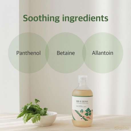 ROUND LAB Soothing facial toner with Mugwort extract (Toner) 300 ml