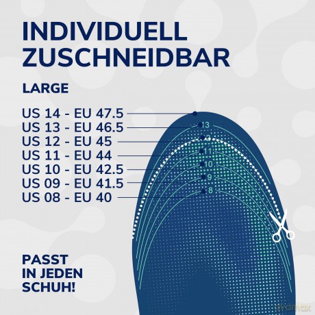 Scholl 24 Hour Energy Shoe Insoles (Insole) 1 pair - Variant: Large