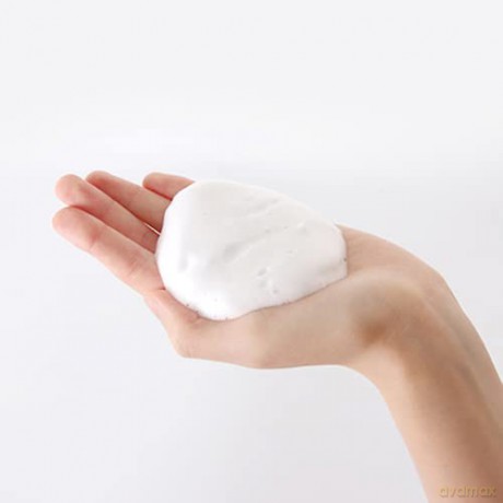 skin79 Water Biome Hydra Foam Cleanser 150 ml