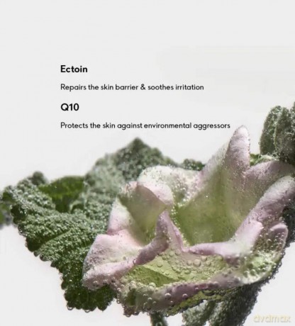 Susanne Kaufmann Regenerating skin serum with Ectoin (Ectoin Repair Serum) 30 ml