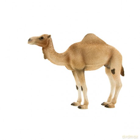 Animal Planet Wielbłąd Arabski [ZABAWKA]