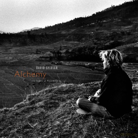 David Sylvian & Jon Hassell: Alchemy An Index Of Possibilities [Winyl]
